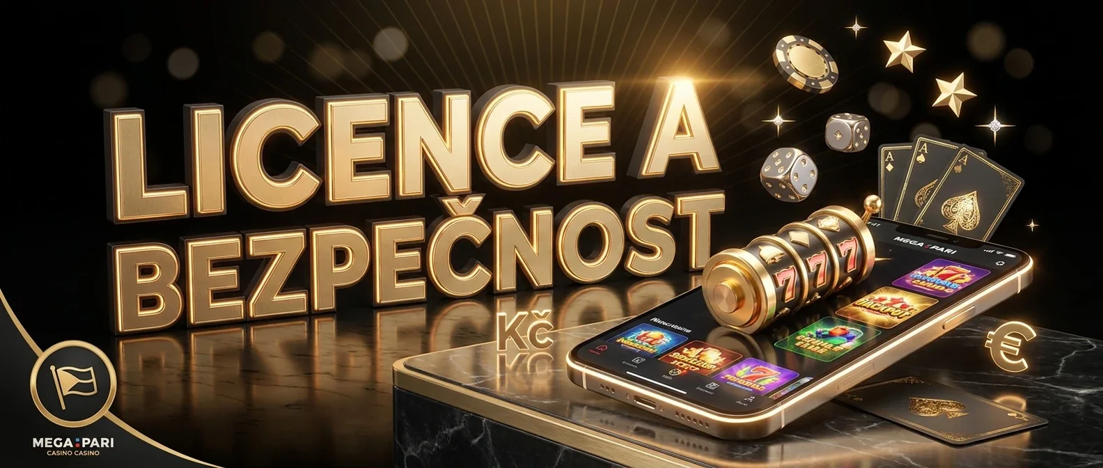 Licence a bezpečnost